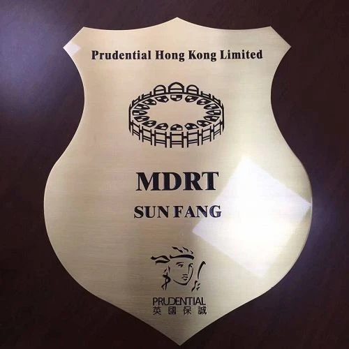 productcate-1-1 Zinc Alloy Die-Cast Decorative Accessories